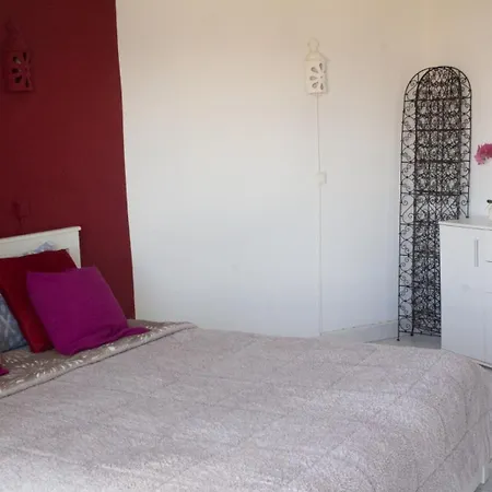 Apt T1 Marques -